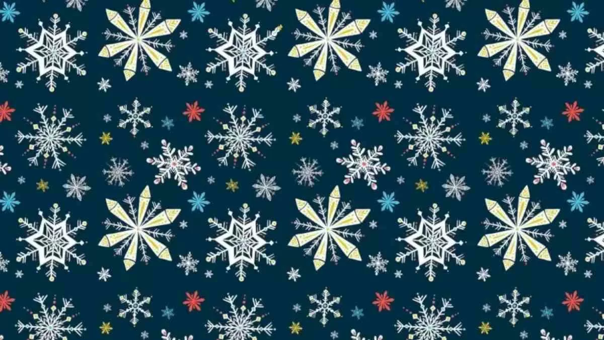 Optical Illusion - Find the Hidden Snowman