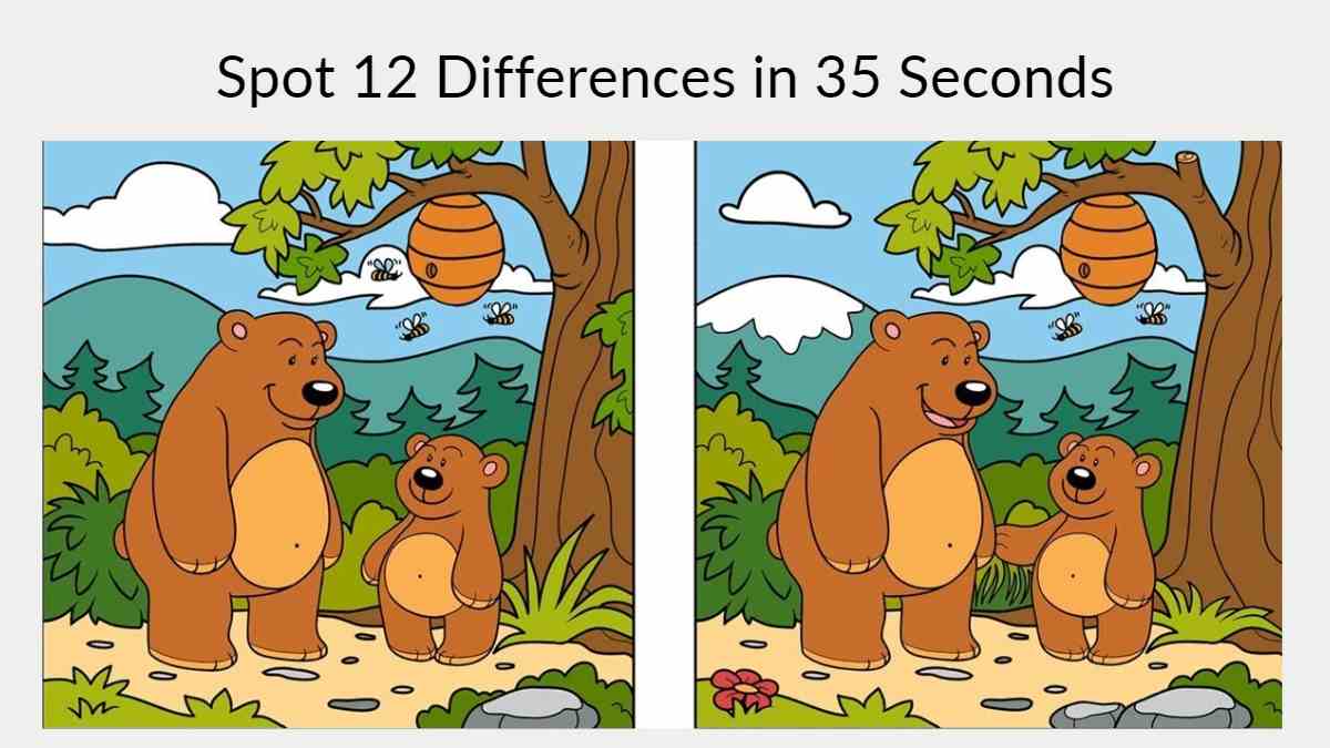 Spot 10 Differences Between Two Pictures With Answers - BEST GAMES