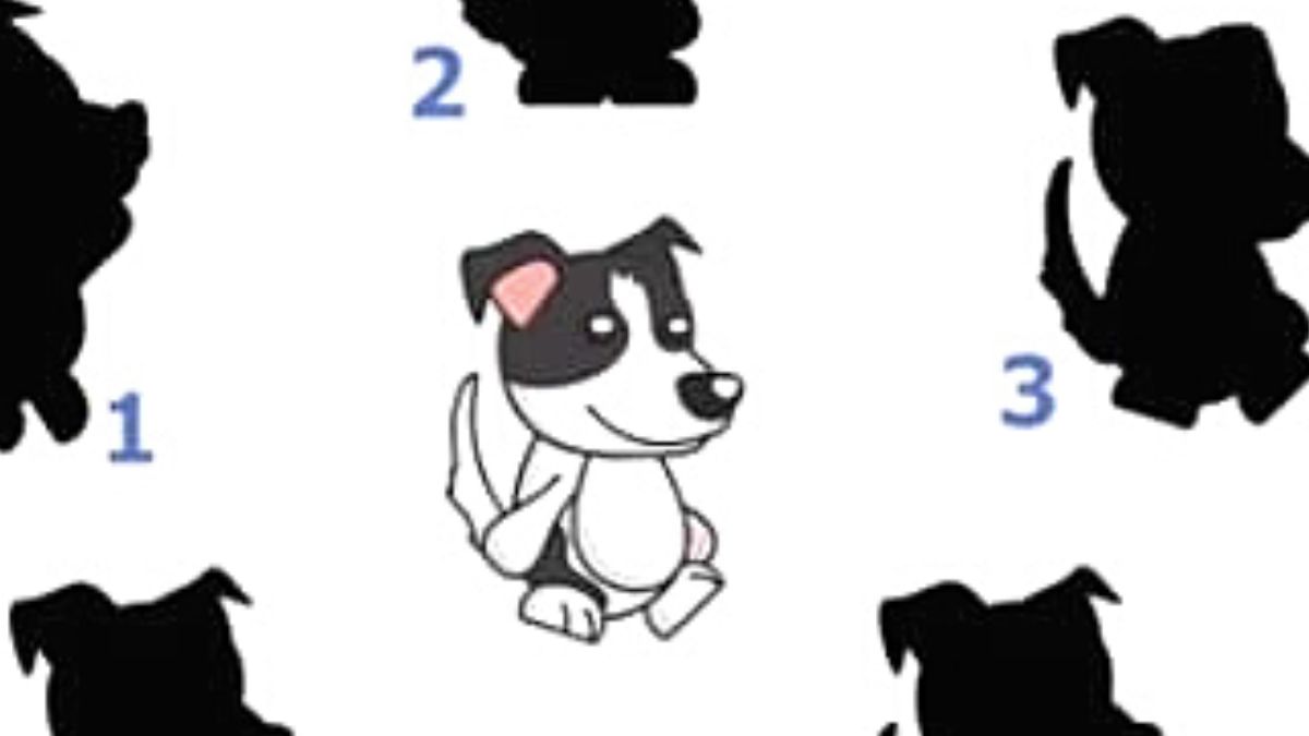 Help the pup find its real shadow in this exciting brain teaser!