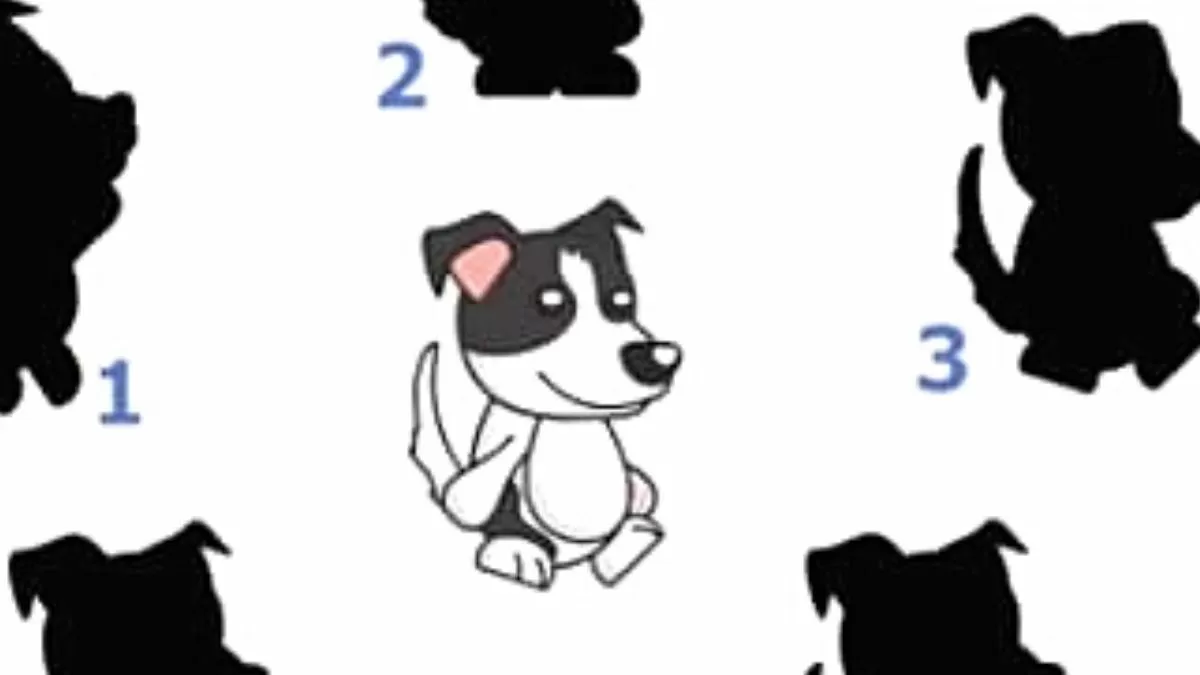 Find the right shadow of the pup!