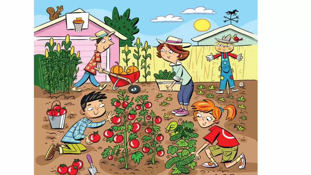 Can you spot six hidden words in this backyard picture?