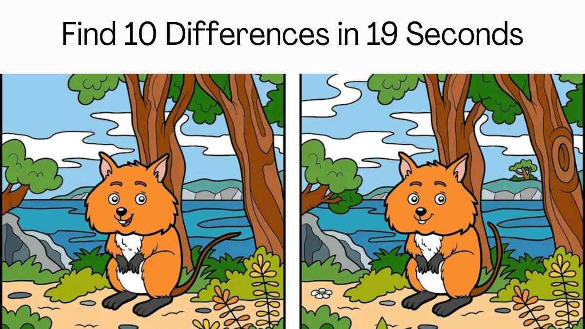 Spot The Difference: Can You Spot All 10 Differences In 19 Seconds?