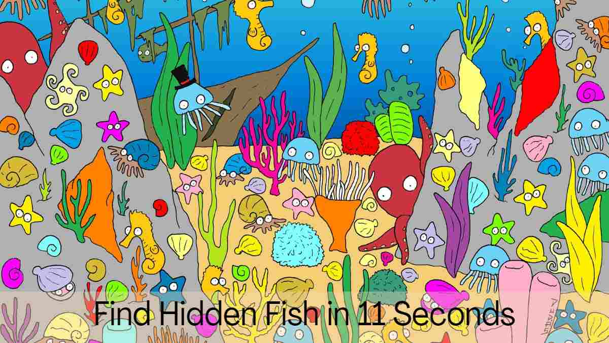 Find Hidden Fish in 11 Seconds