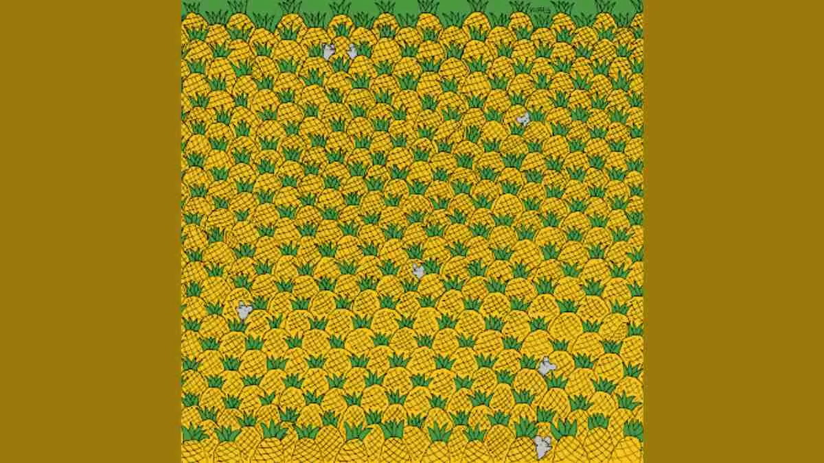 Find Four Corn Husks Optical Illusion