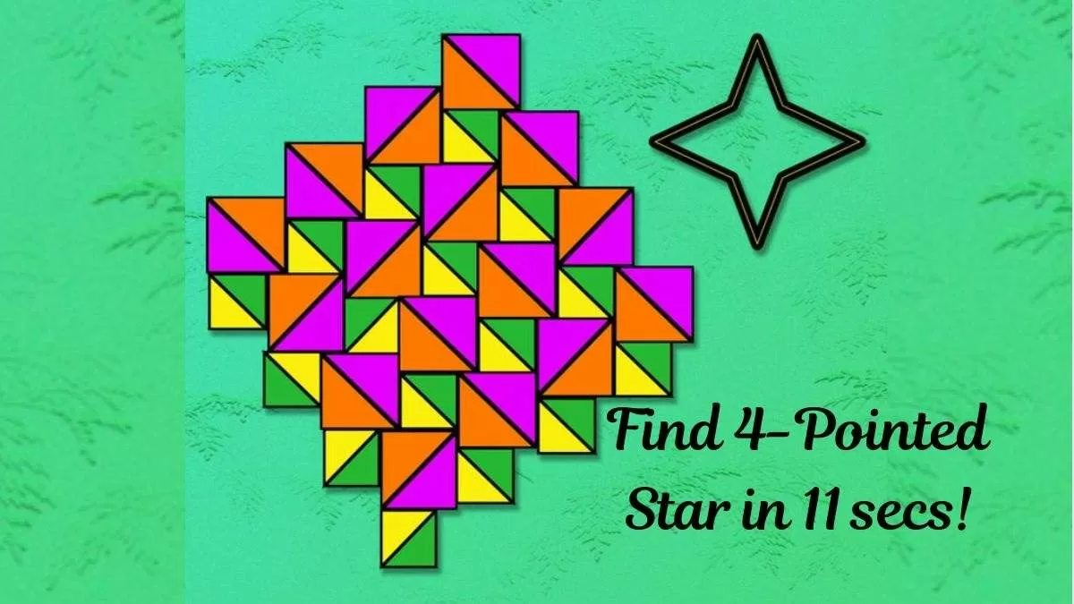 Brain Teaser to Test Your IQ: Can you Spot 4-Pointed Star in picture within  11 secs?