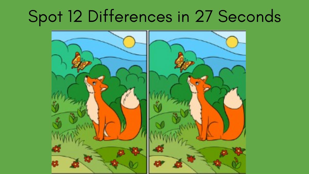 Spot 12 Differences in 27 Seconds