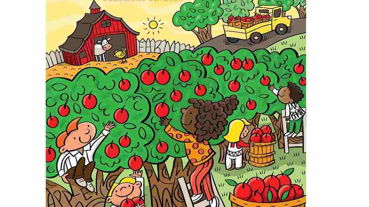 FInd the six hidden words in the Apple Orchards.