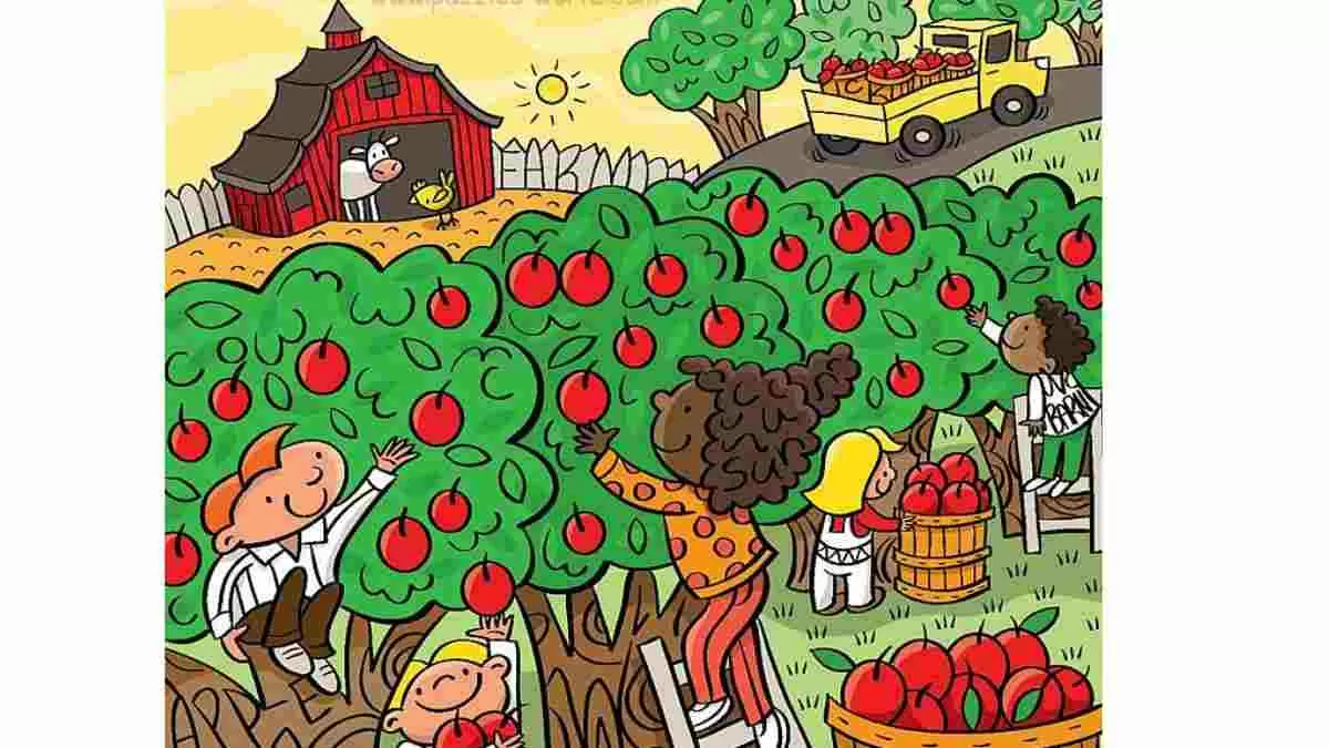 FInd the six hidden words in the Apple Orchards.