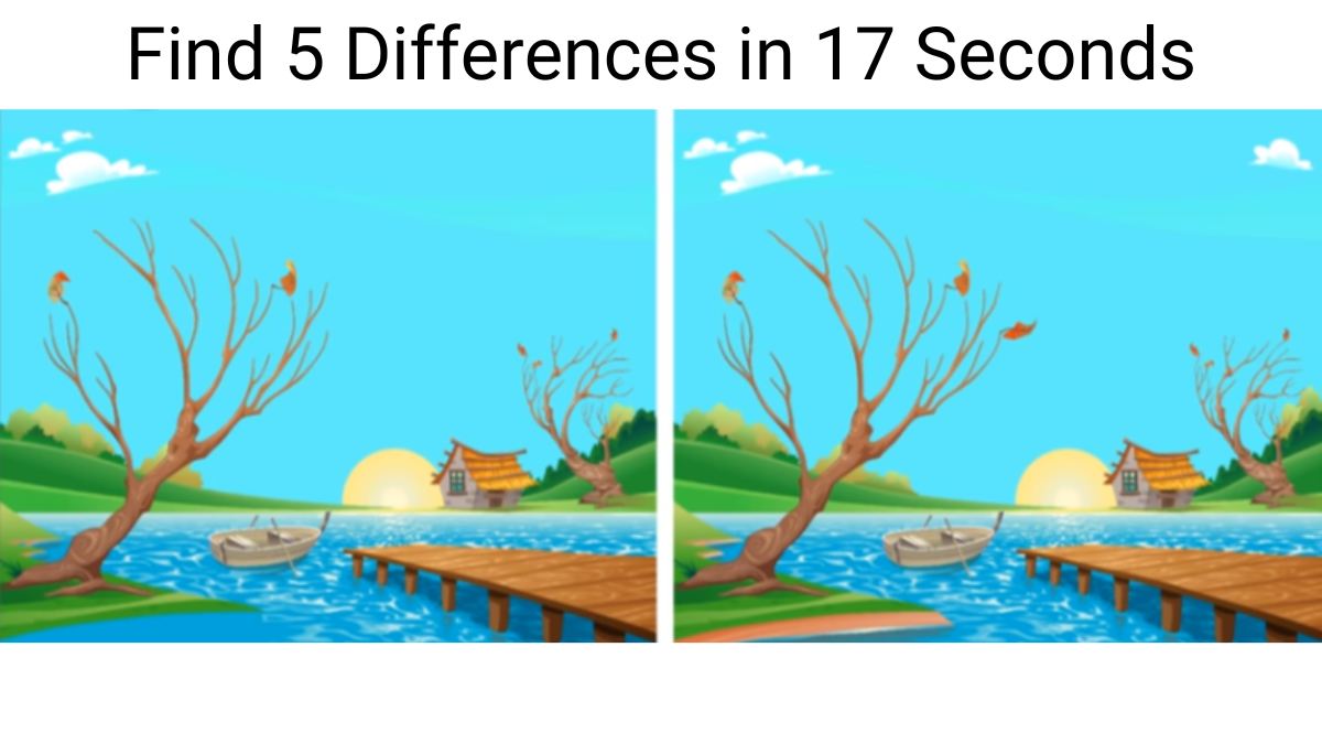 Find 5 Differences in 17 Seconds