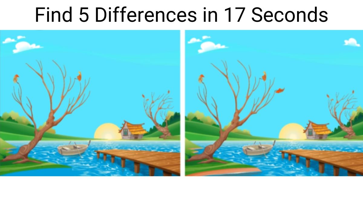 Spot The Difference Hard