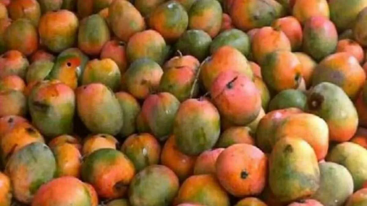 Find Hidden Parrot in 5 Seconds