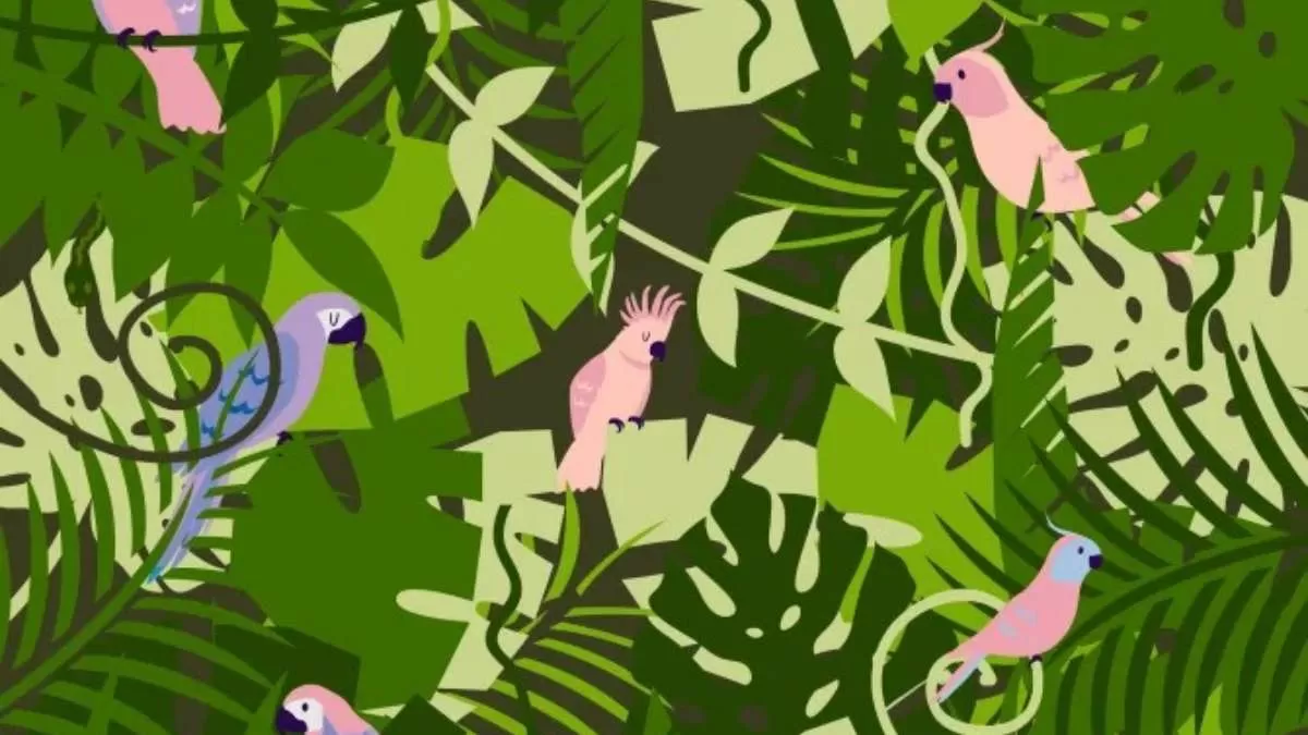 Find Hidden Snake in 19 Seconds