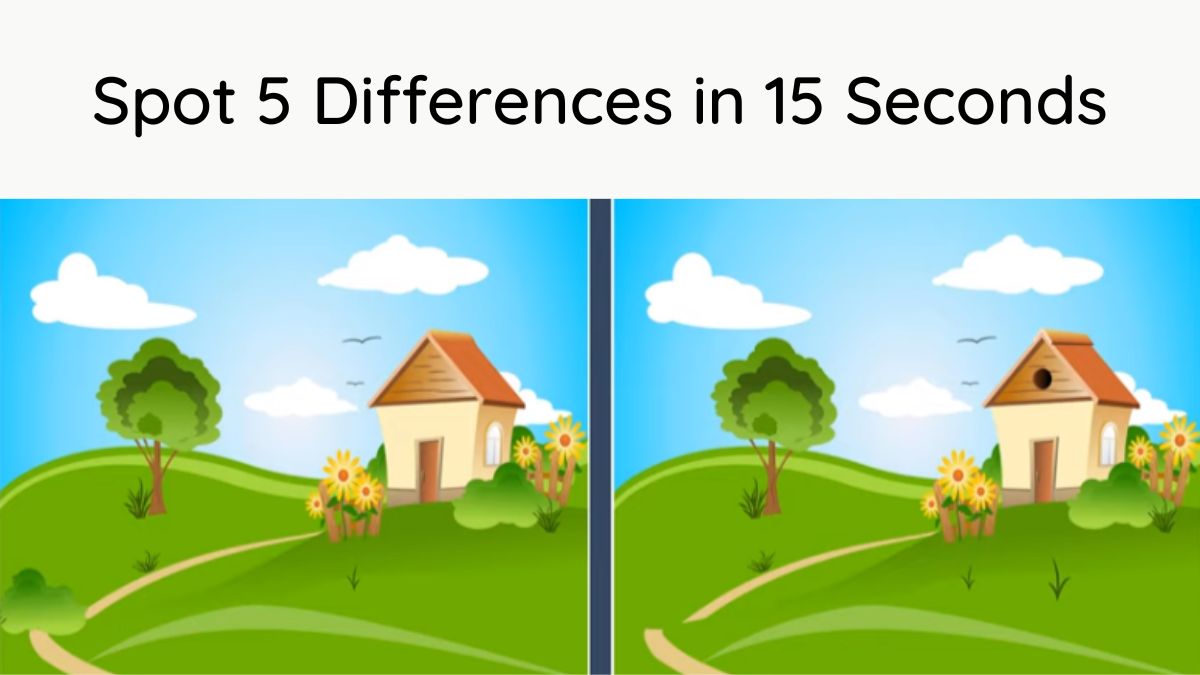 Spot 5 Differences in 15 Seconds