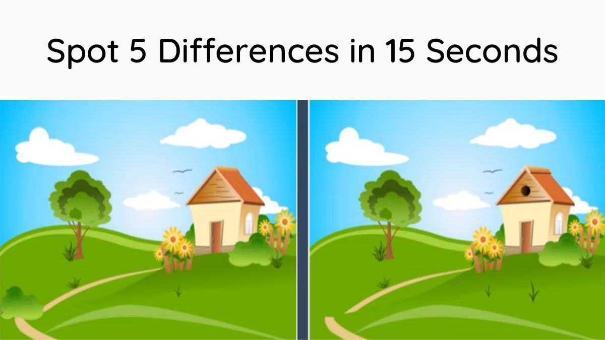 Spot The Difference: Can you spot 5 differences between the two pictures in  12 seconds?