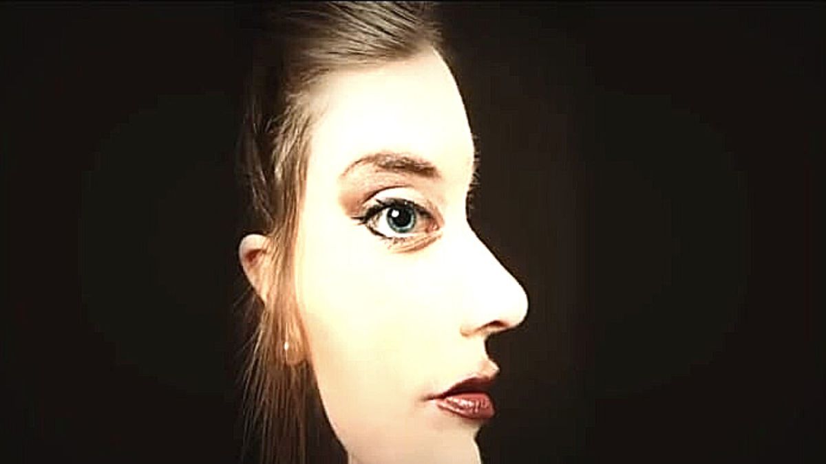 Optical Illusion 2 Faces Optical Illusion 2 Faces