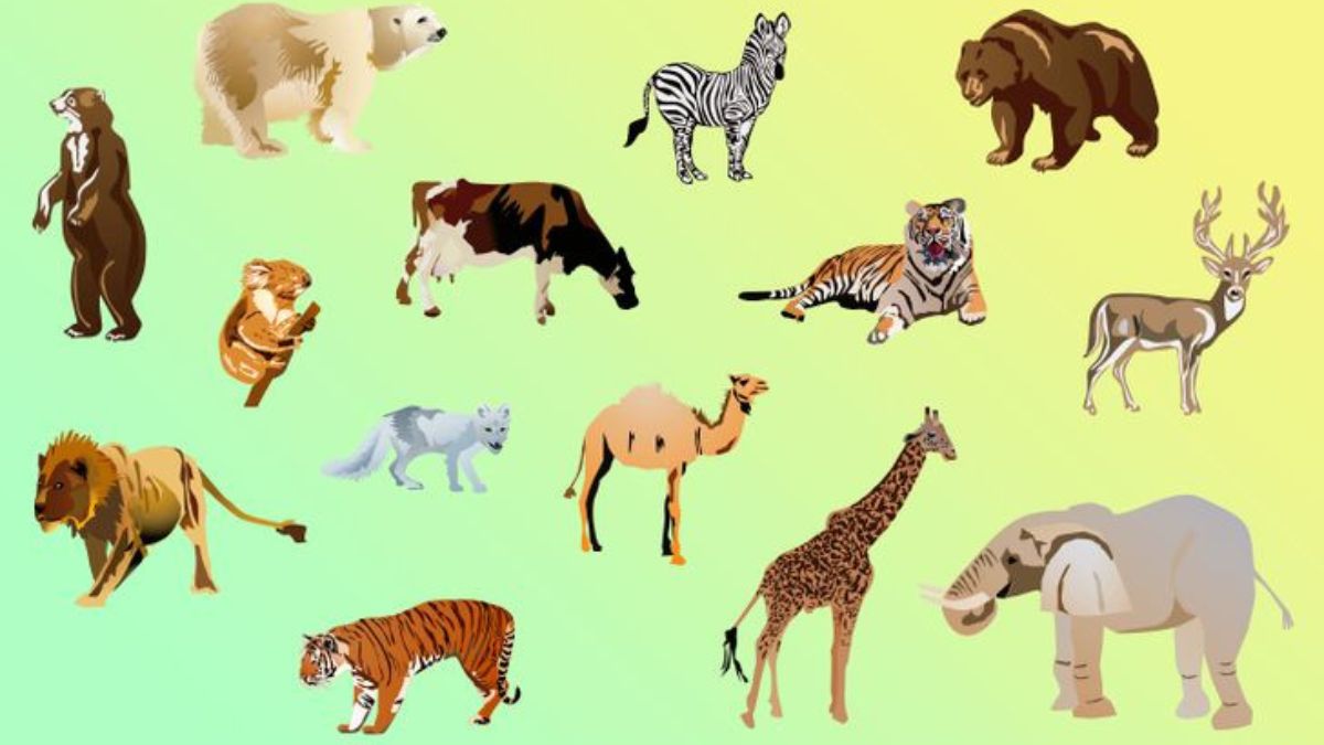 Brain Teaser: Can you spot the odd animal in the image citing a logical  reason within 10 seconds?