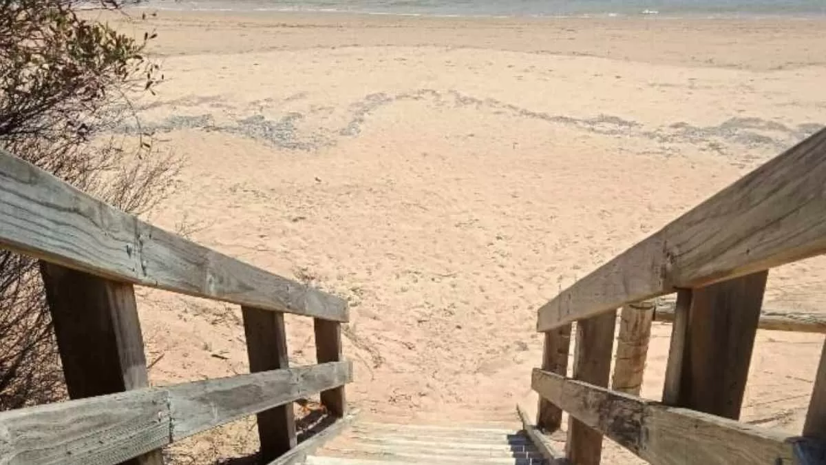 Find the hidden crab!