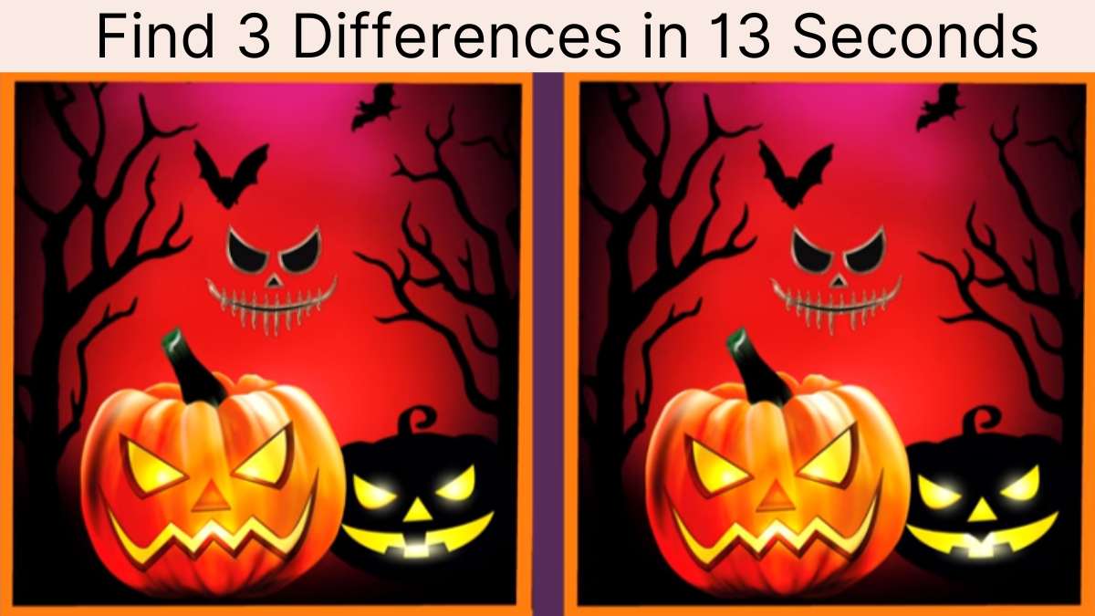 Spot 3 Differences in 13 Seconds
