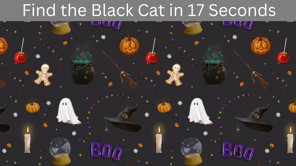 Find Black Cat in 17 Seconds