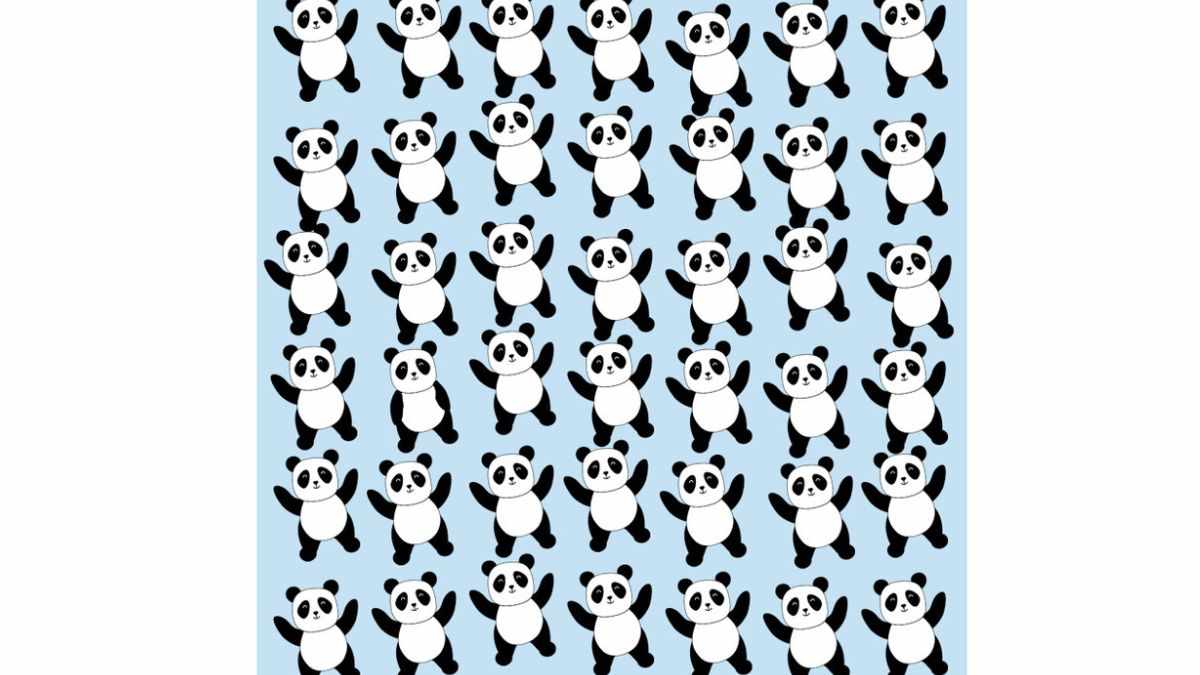 Brain Teaser Alert Please Help To Find The Escapee Panda Hidden In The Toy Store Within 6 Seconds 