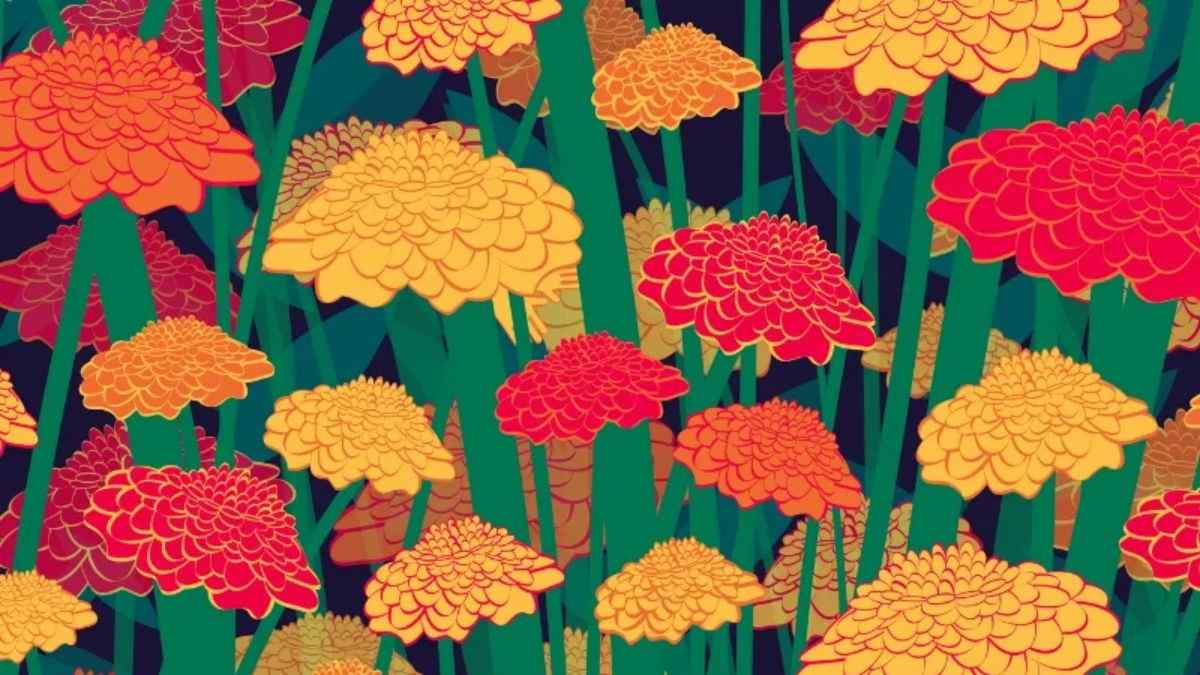 optical-illusion-for-testing-your-brain-can-you-spot-gloves-hidden-inside-marigold-flowers-in-15-secs