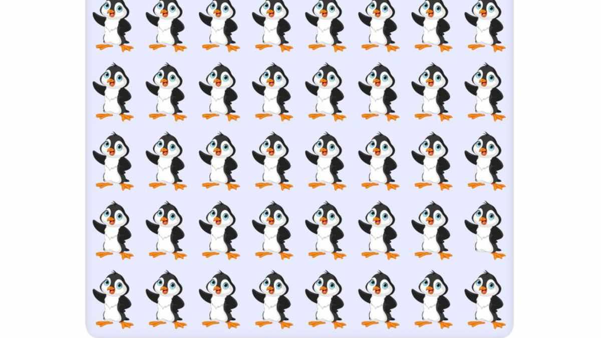 Can You Find the Penguin Among the Toucans in This Viral Brainteaser?