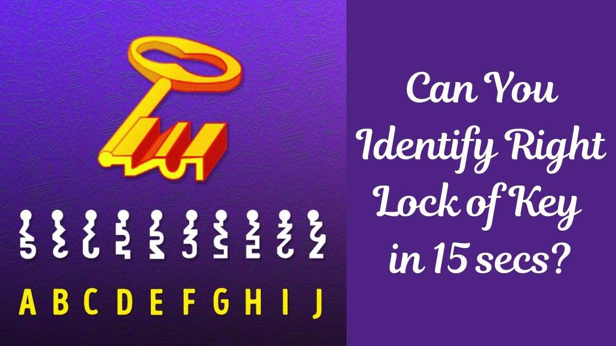 Brain Teaser For Testing Your Iq Can You Identify The Right Lock Of Key In Picture Within