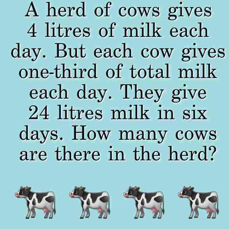 Math Riddles With Answers: These Math Riddles On Fractions Will Remind ...