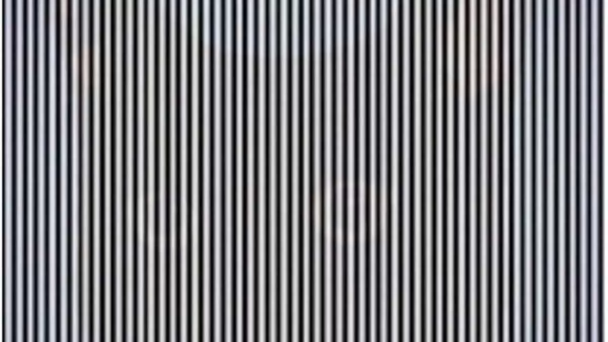 Hidden cat illusion