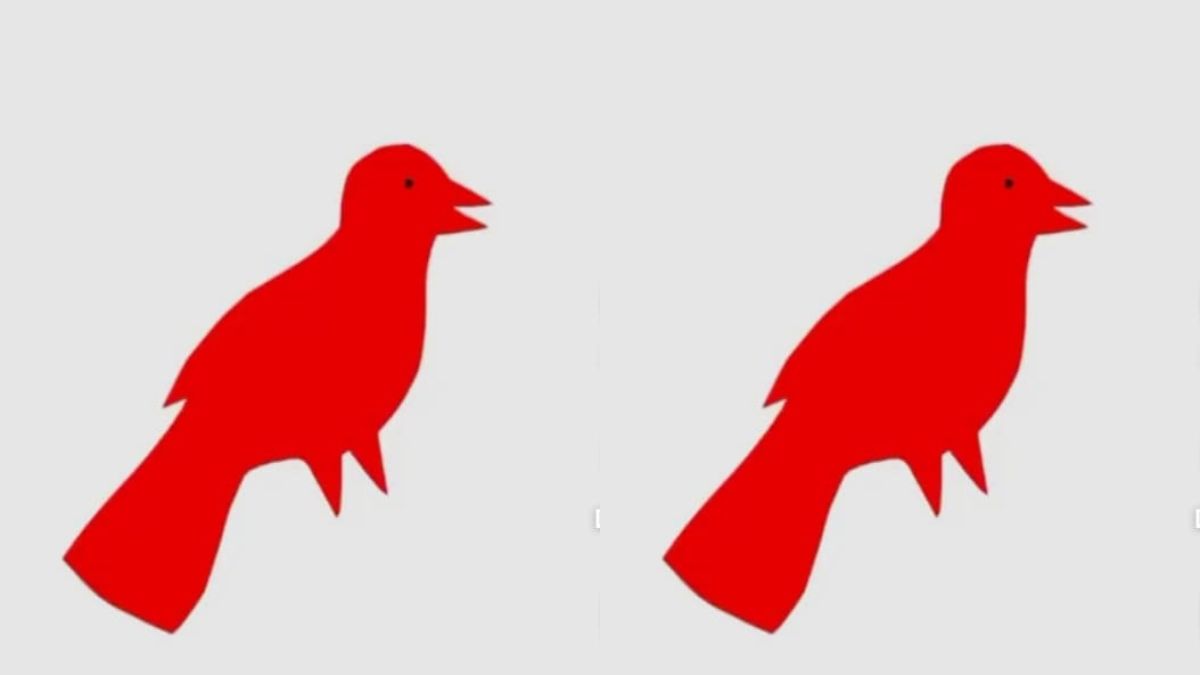 Is The Bird Really Red In Color?