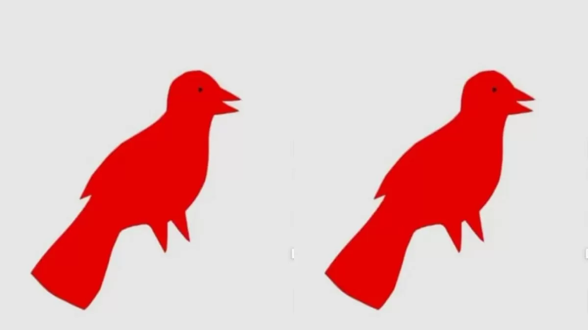 Is The Bird Really Red In Color?