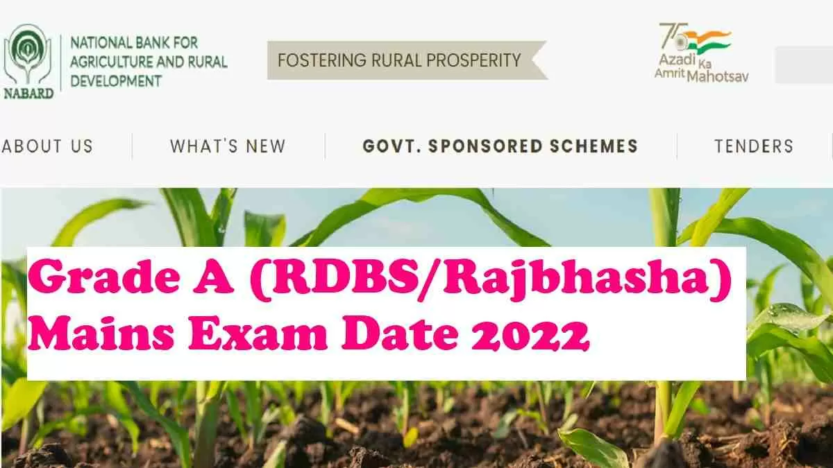 NABARD Assistant Manager Mains Exam Date 2022