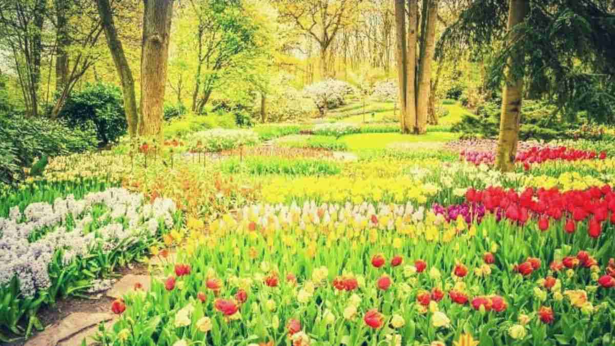 Find the hidden parrot in this beautiful picture!