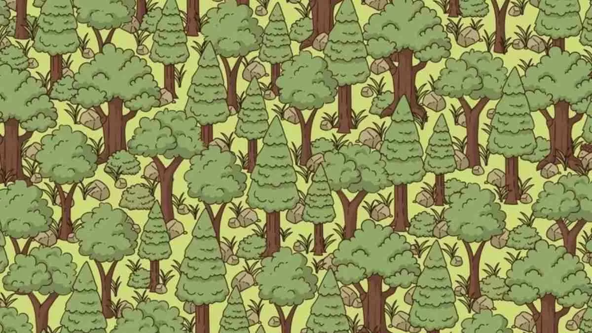 Henry the Hedgehog Optical Illusion