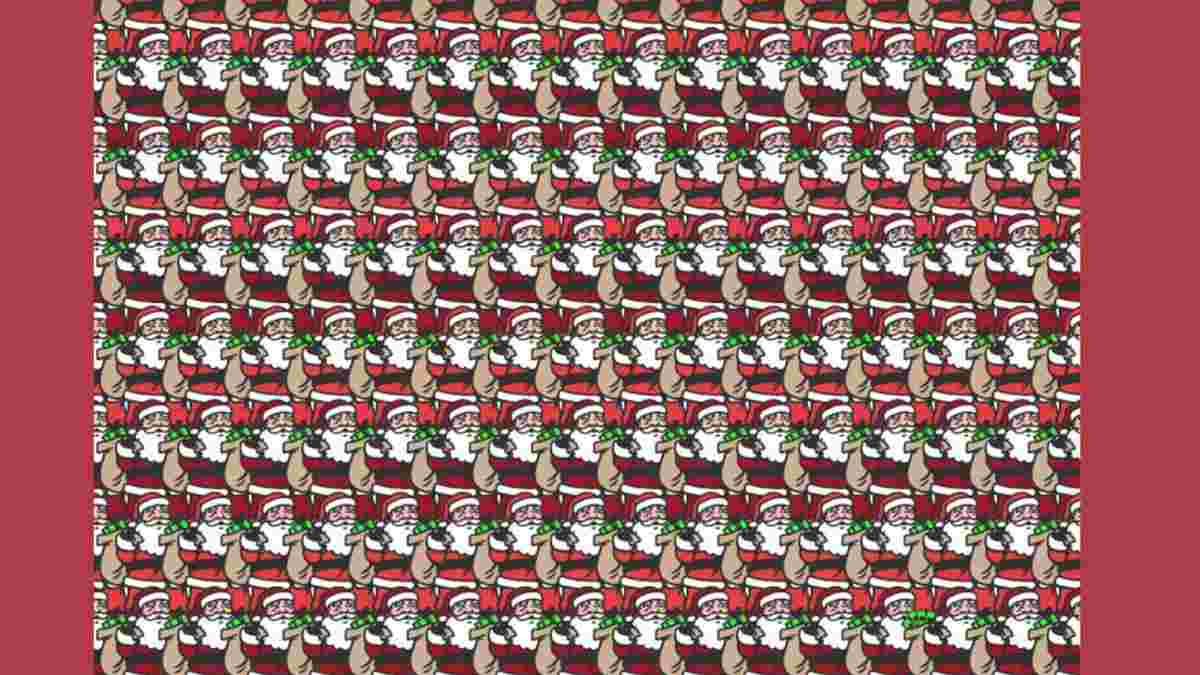 Brain Teaser With Answer: Can you spot Santa Claus carrying a sack ...