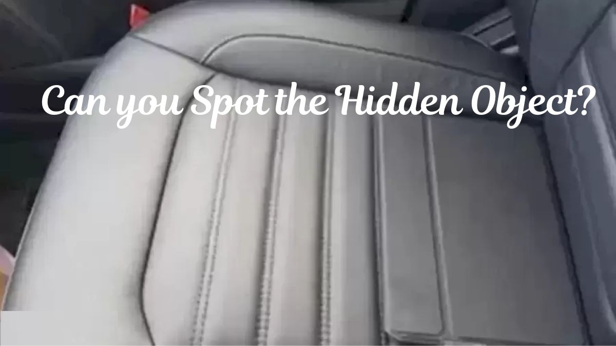 Optical Illusion To Test Your Vision: Only a Genius can spot the hidden object in Car Seat within 5 seconds!