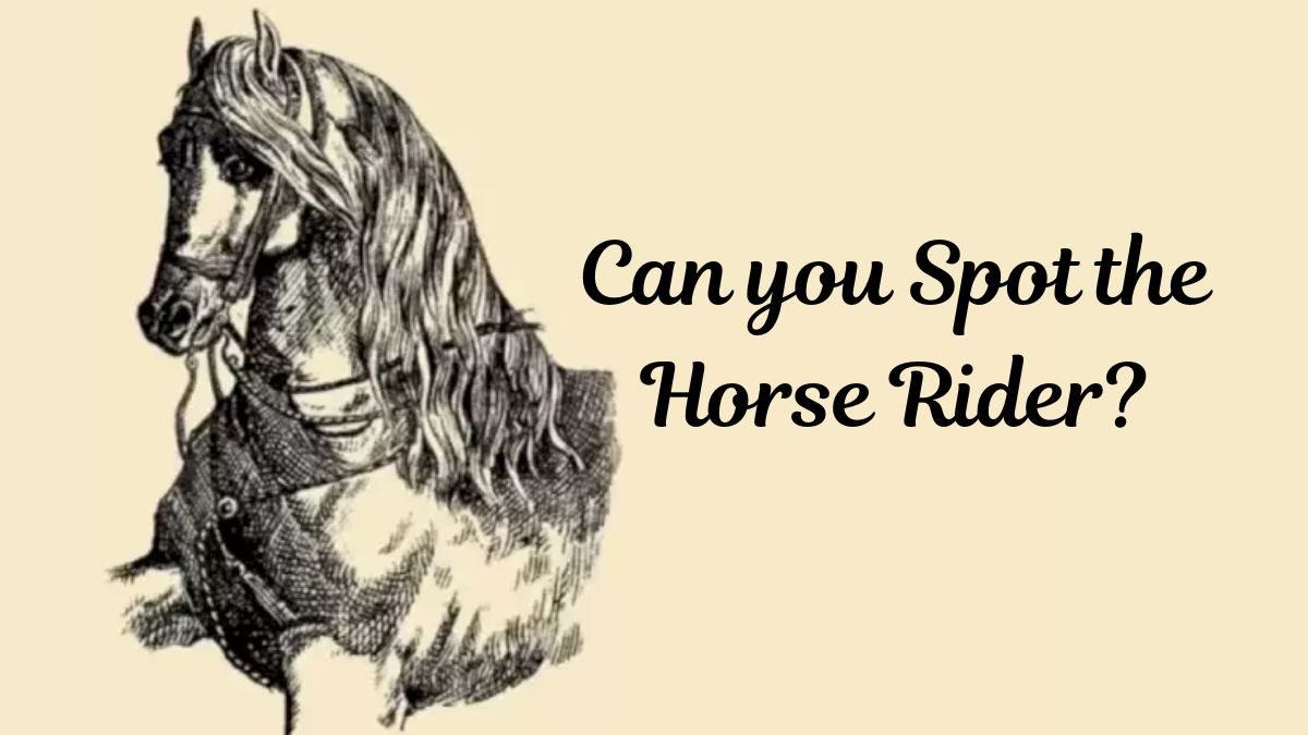 optical-illusion-for-testing-your-iq-only-1-can-spot-horse-rider-s-hidden-face-in-11-secs