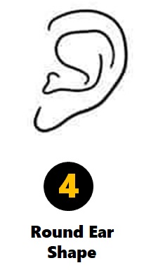 Ear Shape Personality Test: Your Ears Reveal Your True Personality Traits