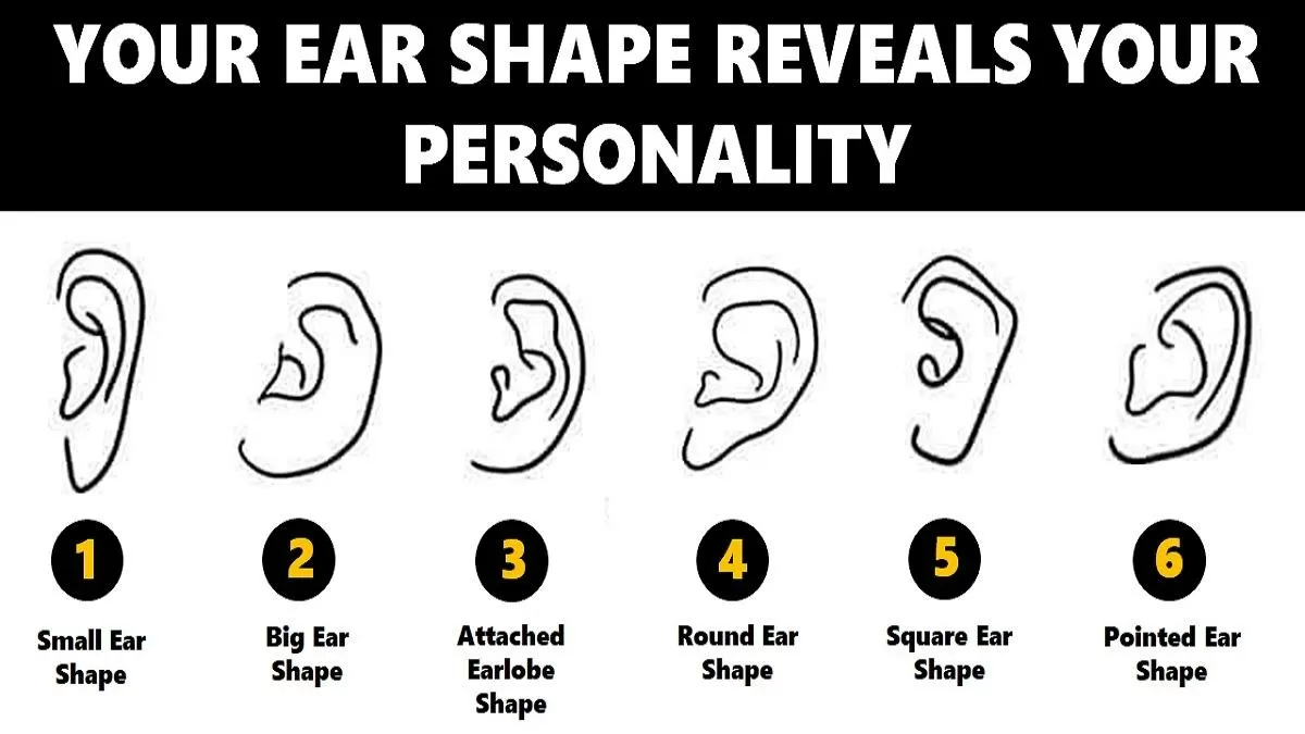 Ear Shape Personality Test: Your Ears Reveal Your True Personality Traits