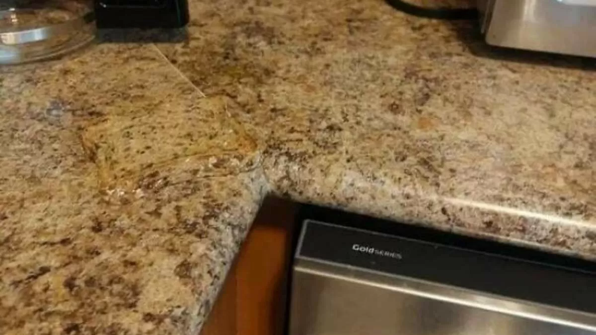 Hidden Sandwich Optical Illusion