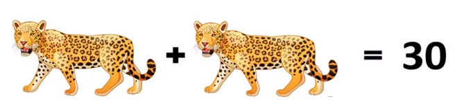 Math Riddles: Leopard, Cat, Rat Puzzle Solved