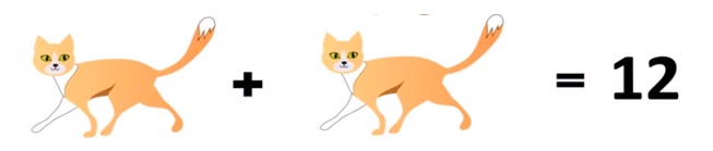 Math Riddles: Leopard, Cat, Rat Puzzle Solved