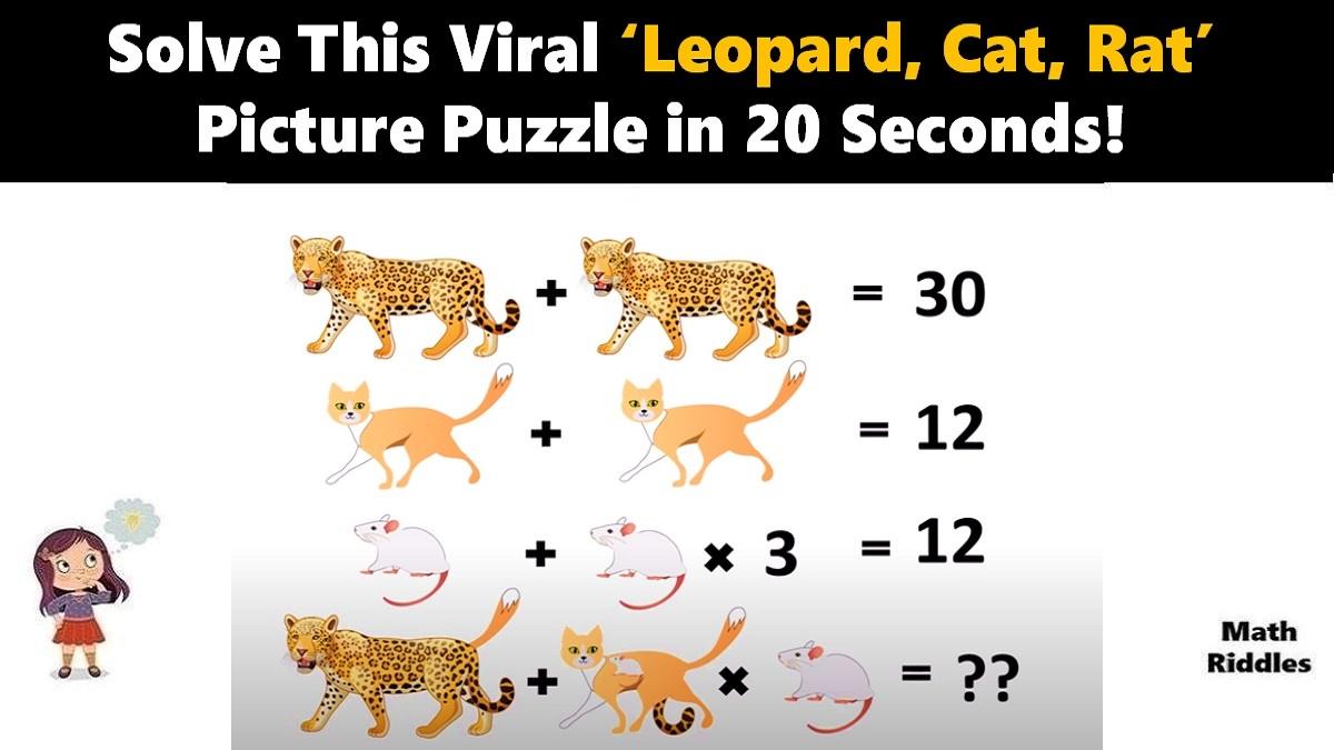 Math Riddles: Can You Solve This Viral ‘Leopard, Cat, Rat’ Picture Puzzle in 20 Seconds?