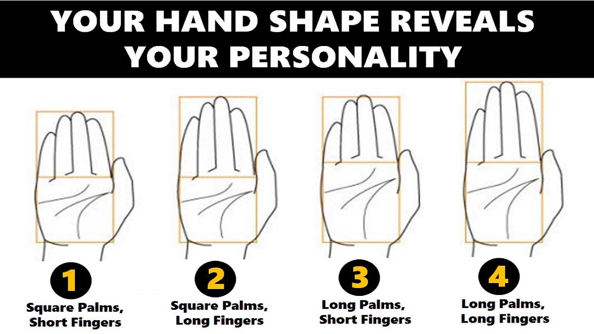 Discover What Shape of your hand say about Your Personality, Interesting  Revelations!