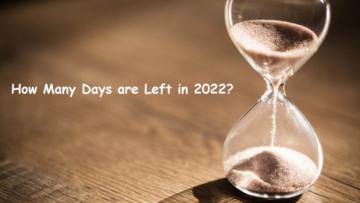 How Many Days Are Left In 2022 Countdown Begins For 2023