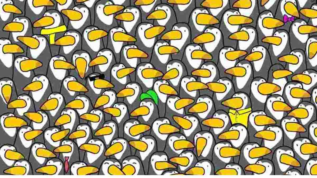 Find the Hidden Penguin in 13 Seconds