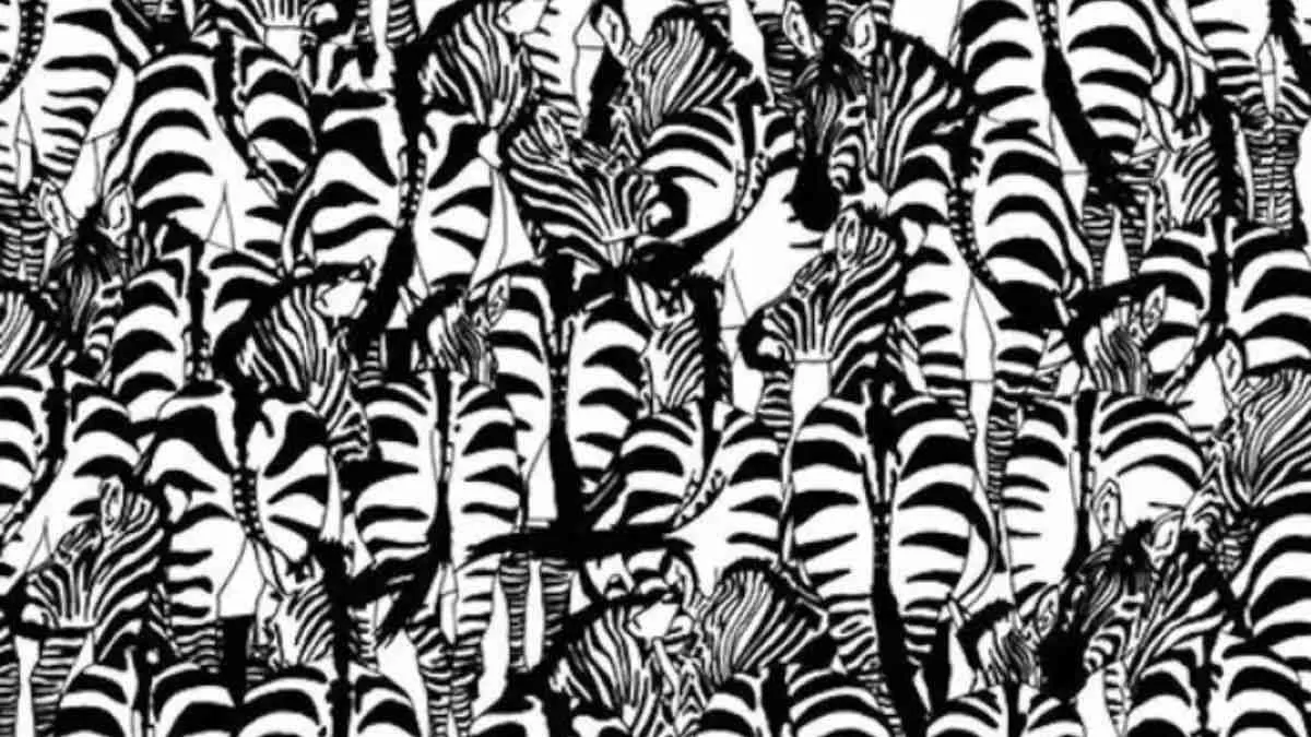 Optical Illusion for Testing Your IQ