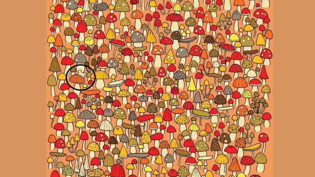 Brain Teaser Can you help the farmers to spot the witty thief hidden