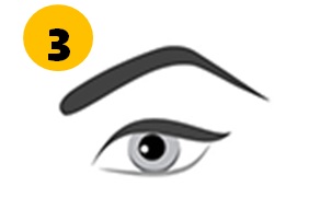 Arched Eyebrows Personality