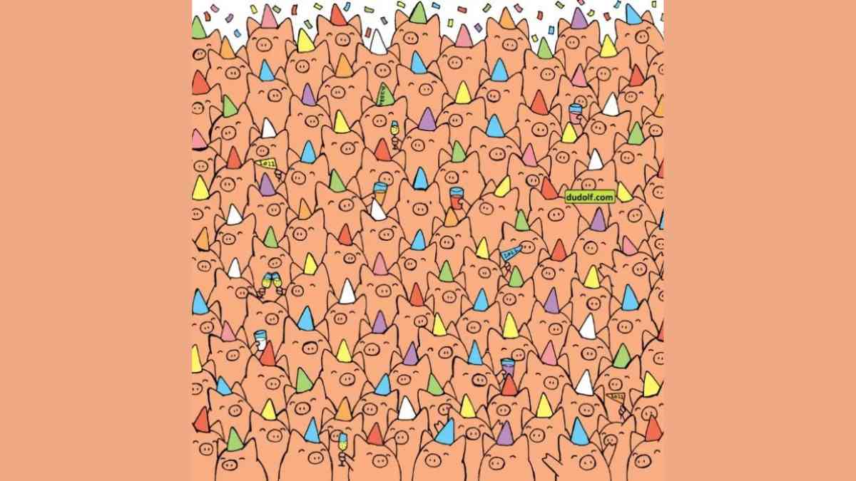 Find Three Pigs Without Party Hats Optical lllusion